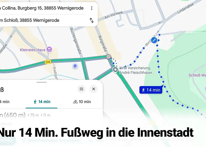 Traumschloss * Wernigerode